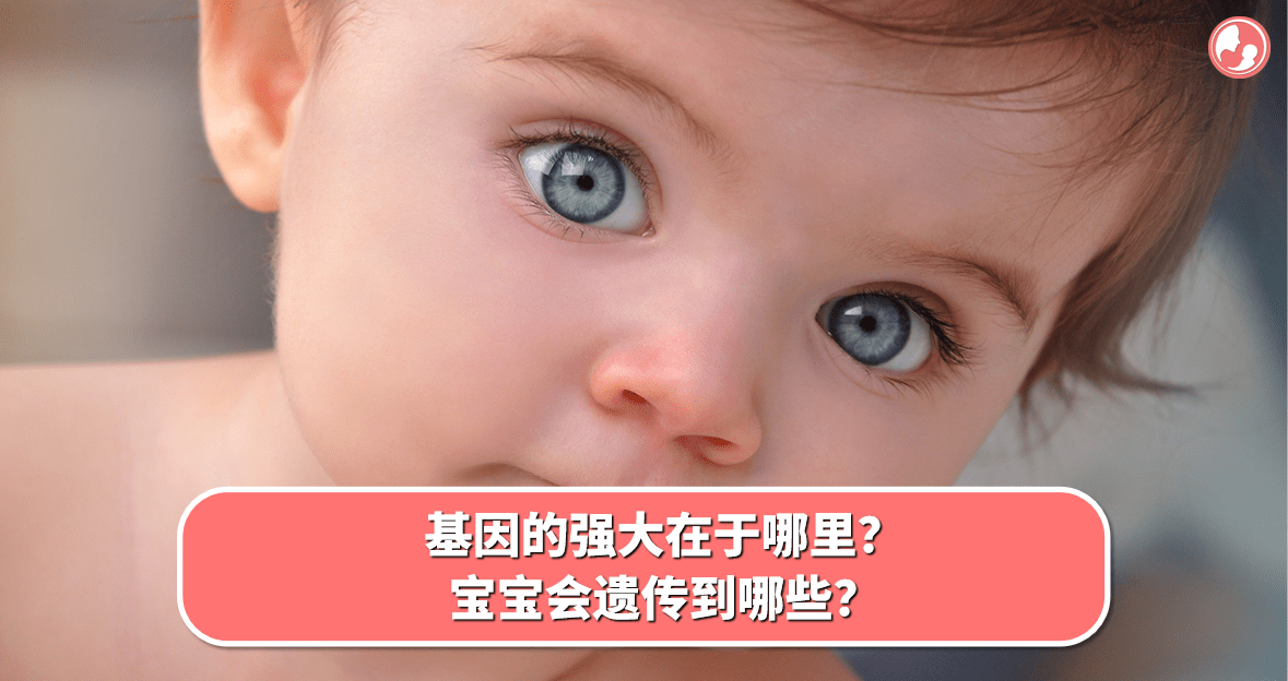 【遗传篇】基因的强大在于哪里？宝宝会遗传到哪些？ -MamaClub