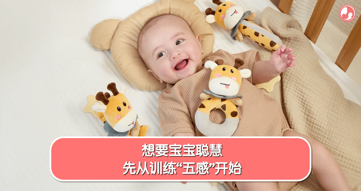 【智力发展】想要宝宝聪慧，先从训练“五感”开始 -MamaClub