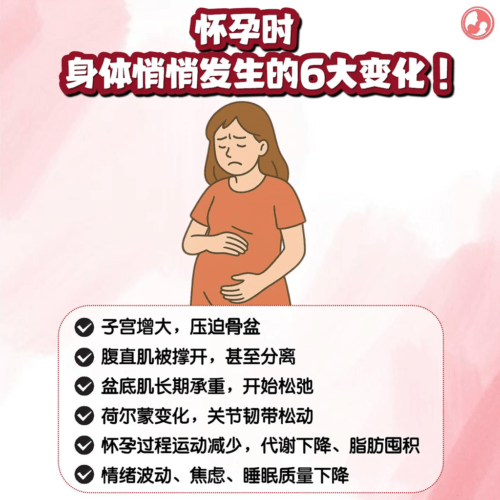 怀孕时身体的变化