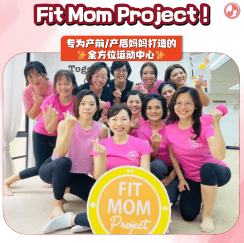 Fit Mom Project