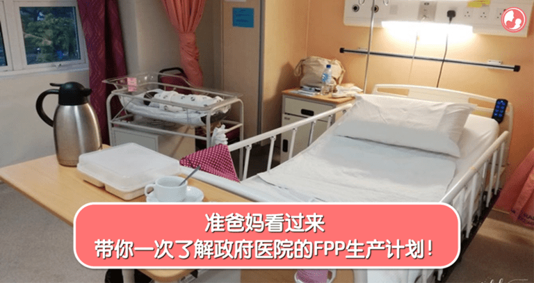 政府医院 FPP 生产计划