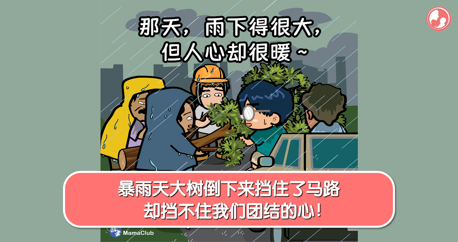 【故事投稿】【457期】暴雨天大树倒下来挡住了马路，却挡不住我们团结的心！ -MamaClub