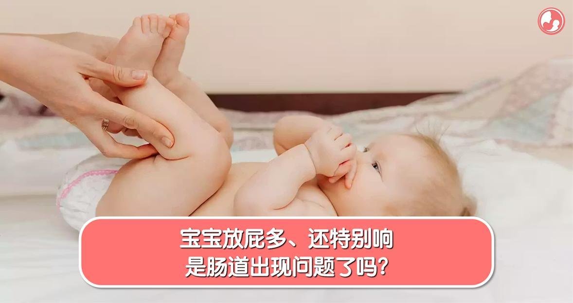 【放屁篇】宝宝放屁多、还特别响，是肠道出现问题了吗？ -MamaClub